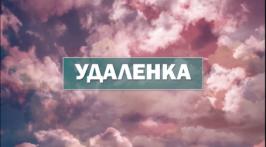 «Удаленка»
